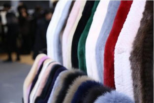 2019北京国际裘皮革皮制品交易会在京举行,大营裘皮备受追捧